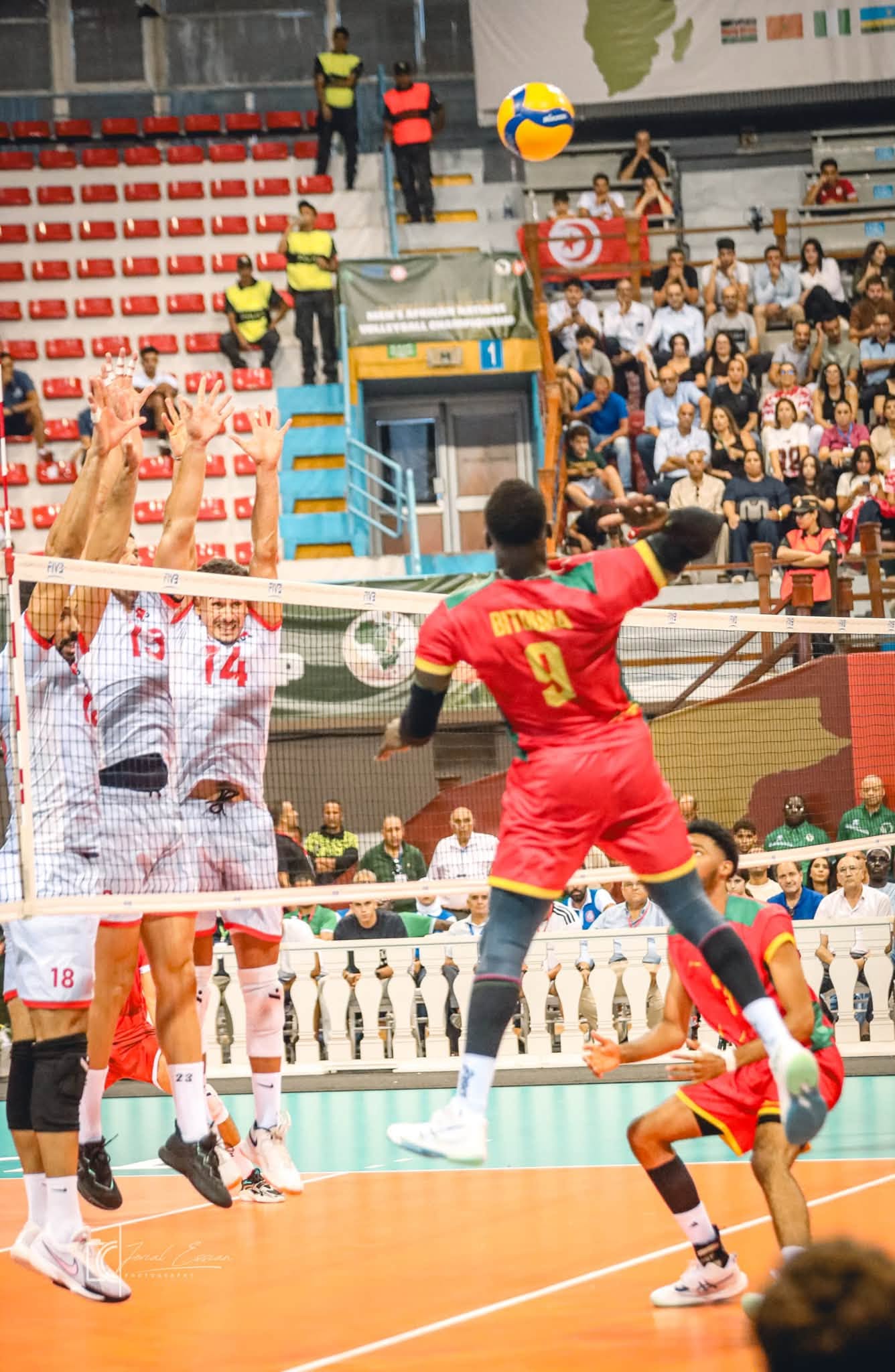 CHAN masculin Tunis 2026 : le Cameroun vice-champion d’Afrique, trois Lions dans la Dream Team — image 18
