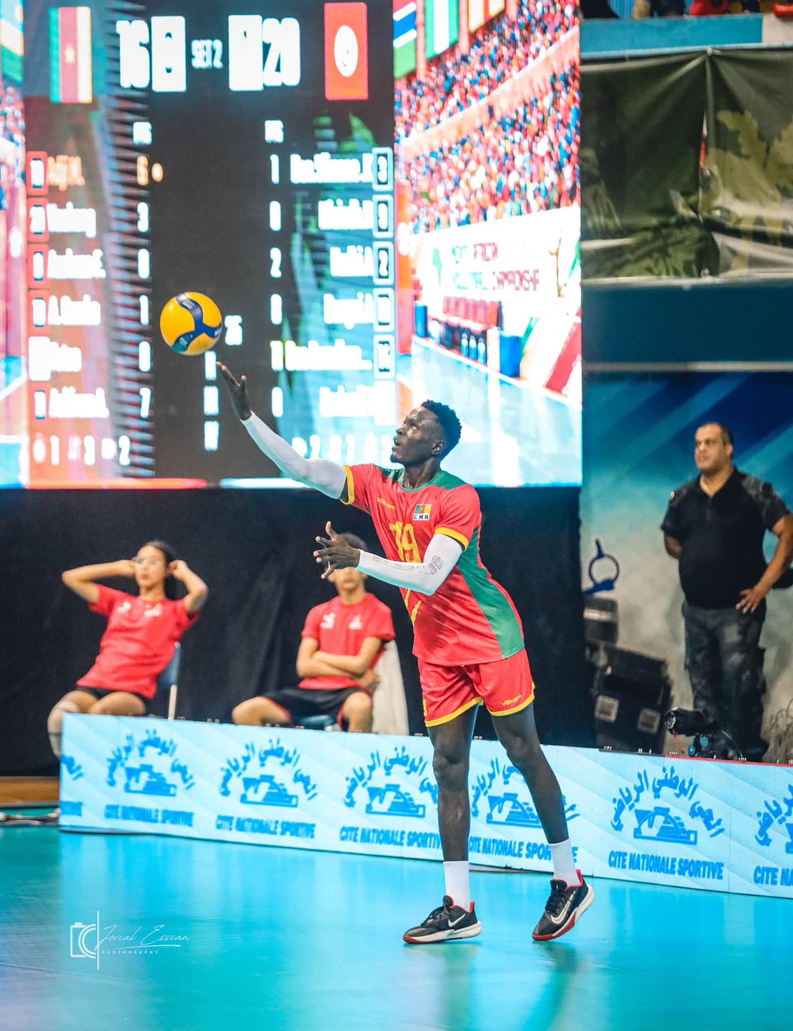CHAN masculin Tunis 2026 : le Cameroun vice-champion d’Afrique, trois Lions dans la Dream Team — image 6